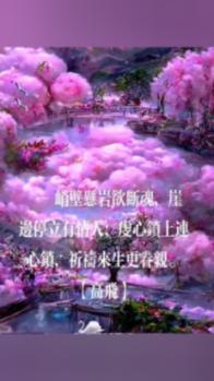 影视工厂